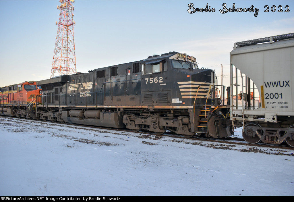 NS 7562